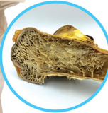 Large Ostrich Bone