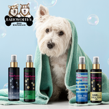 Fragrances for him