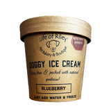 Doggy Ice Cream Kit
