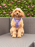 Wyld Cub Belgravia Adjustable Harness - Sugarplum