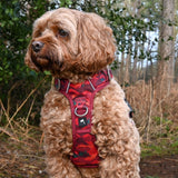 Twiggy Tags Alpenglow Harness