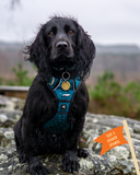 Twiggy Tags Tranquil Harness