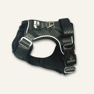 Twiggy Tags Petrichor  Harness
