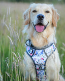 Twiggy Tags Spring Blossom Harness