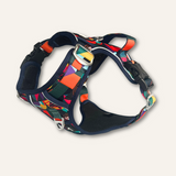 Twiggy Tags Aurora Harness