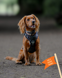 Twiggy Tags Petrichor  Harness