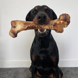 JR Large Ostrich Bone