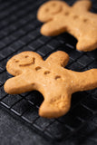 Large Gingerbread Man - Grain Free
