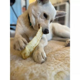 Earth Animal No Hide Strips