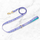 Wyld Cub Belgravia - Sugarplum Lead
