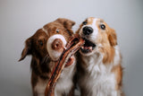 Barkworthy Box