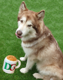 DG Pups Mug Plush Dog Toy