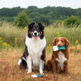 Yup You Stink! Emergency Dog Wipes